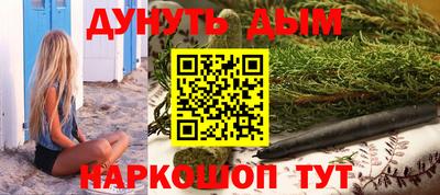 соль ск Новозыбков