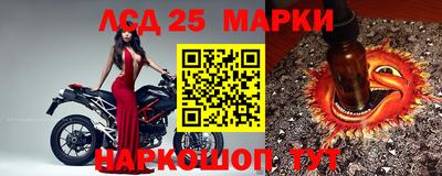соль ск Новозыбков