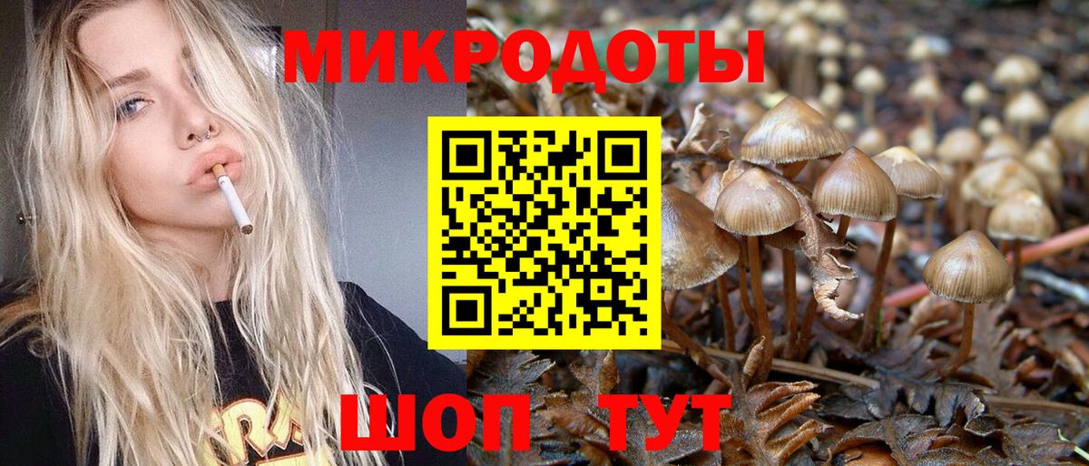 Сухой Лог  Галлюциногенные грибы Cubensis  где найти   Вход с VPN 